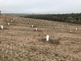 Servicios forestales y ganaderos